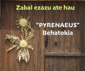 puerta 2 eguzki esuskeraz